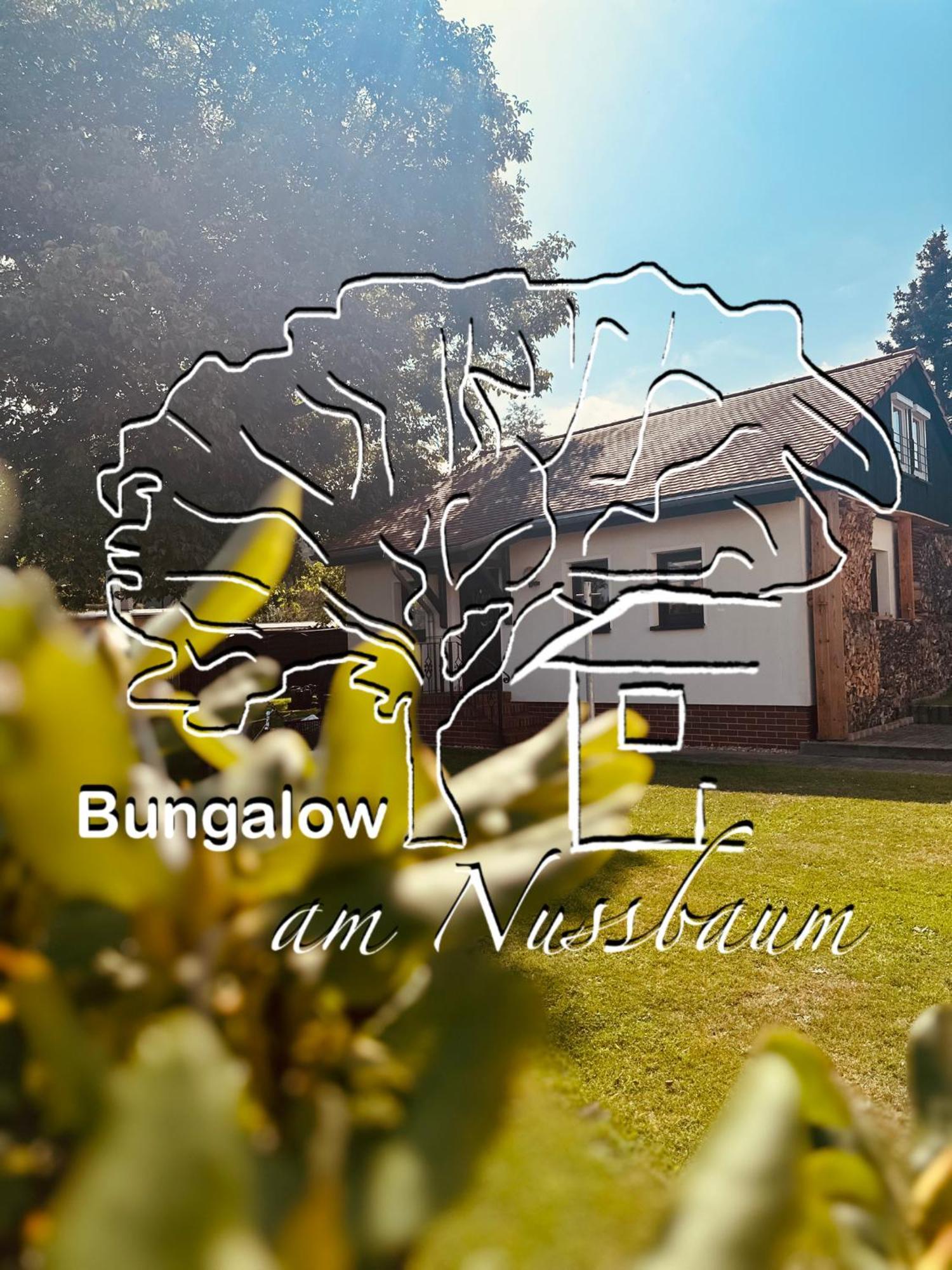 Bungalow Am Nussbaum Olbersdorf المظهر الخارجي الصورة